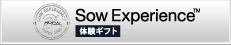 株式会社ソウ・エクスペリエンス